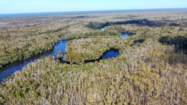 Vernon, Florida 32462, ,Land,For Sale,Bunker Creek Area,833608