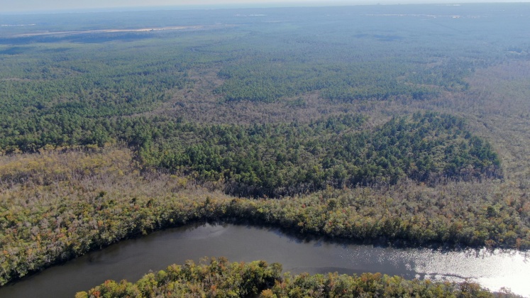 Vernon, Florida 32462, ,Land,For Sale,Bunker Creek Area,833608