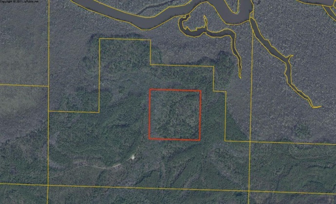 Vernon, Florida 32462, ,Land,For Sale,Bunker Creek Area,833608