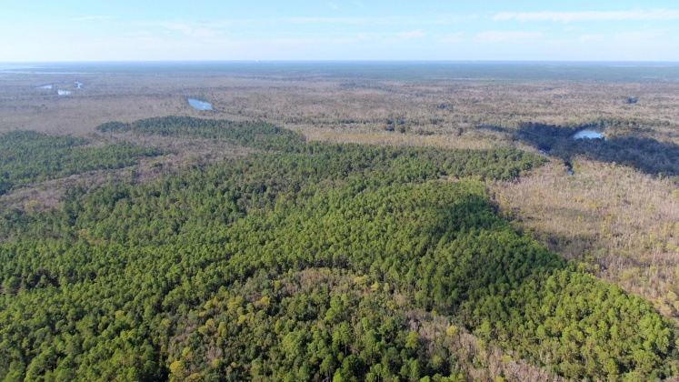 Vernon, Florida 32462, ,Land,For Sale,Bunker Creek Area,833608