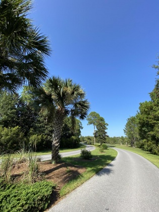 Freeport, Florida 32439, ,Land,For Sale,Harbour Trce,852361