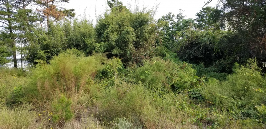 Santa Rosa Beach, Florida 32459, ,Land,For Sale,Dune,856597