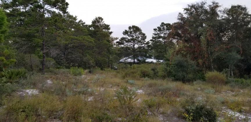 Santa Rosa Beach, Florida 32459, ,Land,For Sale,Dune,856597