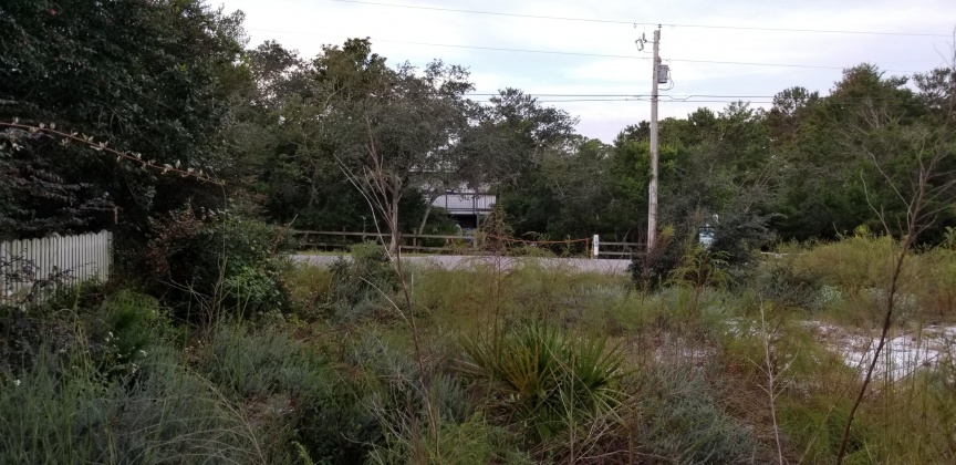 Santa Rosa Beach, Florida 32459, ,Land,For Sale,Dune,856597