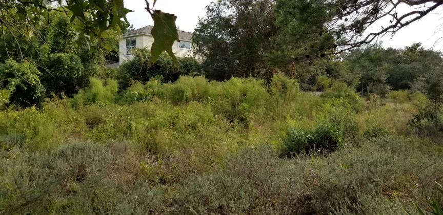 Santa Rosa Beach, Florida 32459, ,Land,For Sale,Dune,856597