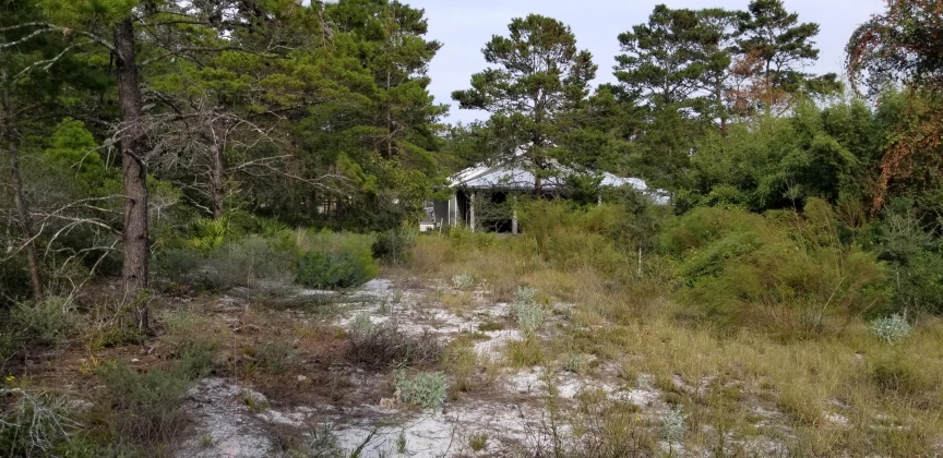 Santa Rosa Beach, Florida 32459, ,Land,For Sale,Dune,856597