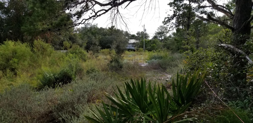 Santa Rosa Beach, Florida 32459, ,Land,For Sale,Dune,856597
