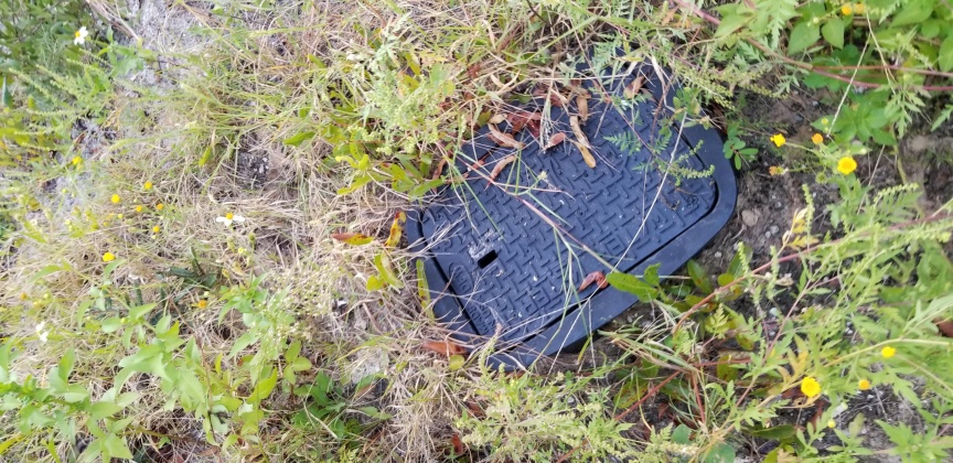 Santa Rosa Beach, Florida 32459, ,Land,For Sale,Dune,856597