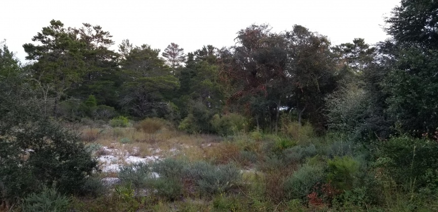 Santa Rosa Beach, Florida 32459, ,Land,For Sale,Dune,856597