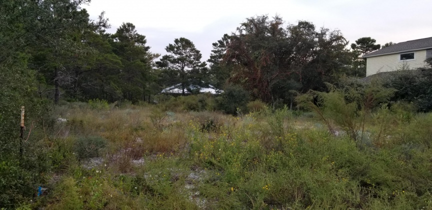 Santa Rosa Beach, Florida 32459, ,Land,For Sale,Dune,856597