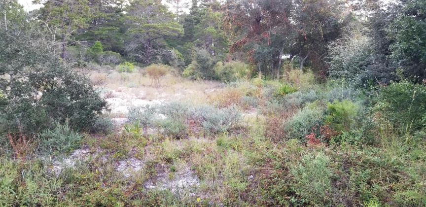 Santa Rosa Beach, Florida 32459, ,Land,For Sale,Dune,856597