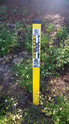 Santa Rosa Beach, Florida 32459, ,Land,For Sale,Dune,856597