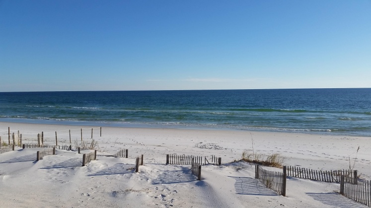 Santa Rosa Beach, Florida 32459, ,Land,For Sale,Dune,856597