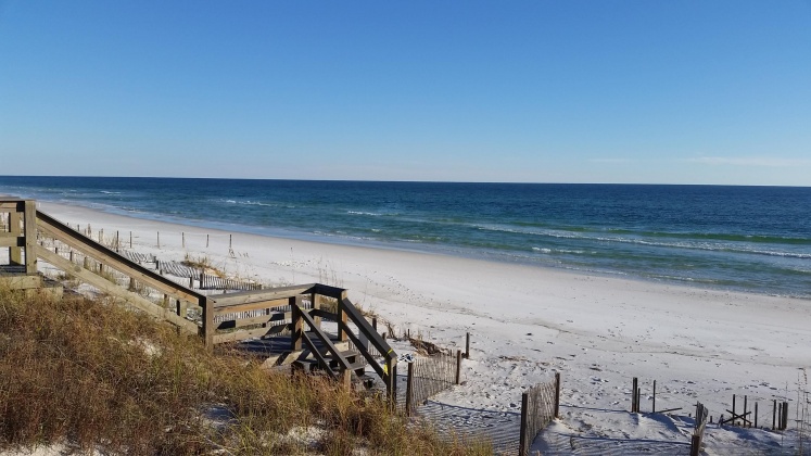 Santa Rosa Beach, Florida 32459, ,Land,For Sale,Dune,856597