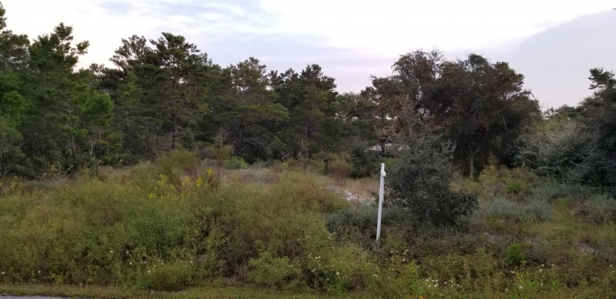 Santa Rosa Beach, Florida 32459, ,Land,For Sale,Dune,856597