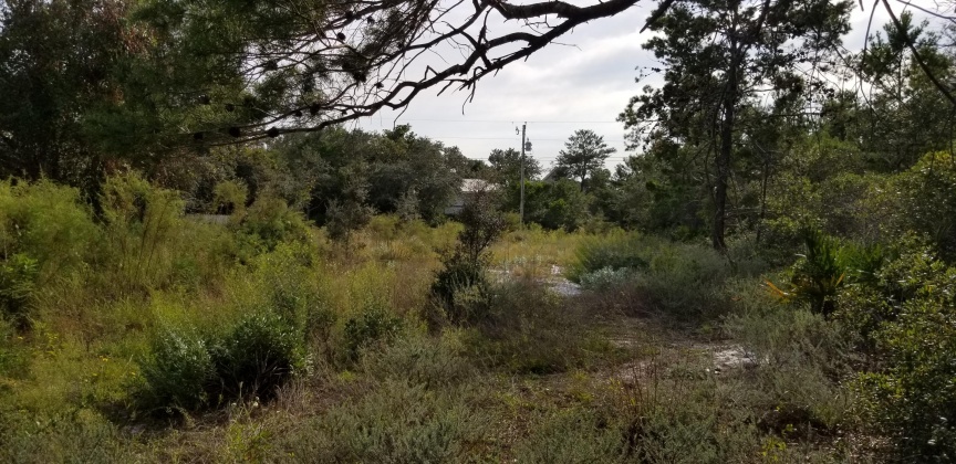 Santa Rosa Beach, Florida 32459, ,Land,For Sale,Dune,856597
