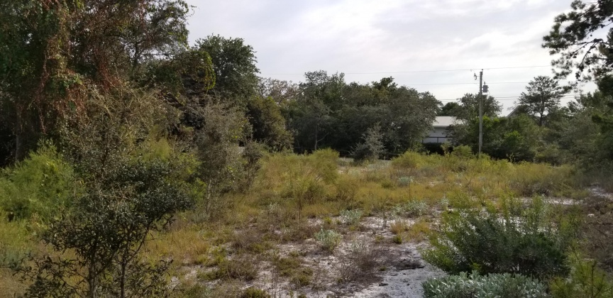 Santa Rosa Beach, Florida 32459, ,Land,For Sale,Dune,856597
