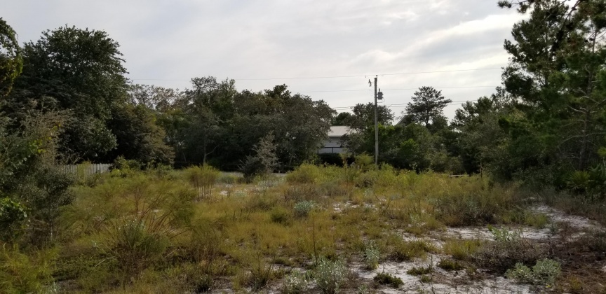 Santa Rosa Beach, Florida 32459, ,Land,For Sale,Dune,856597