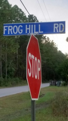 Freeport, Florida 32439, ,Land,For Sale,Frog Hill,856843