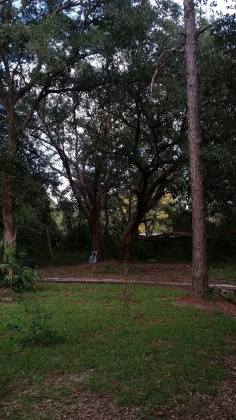 Freeport, Florida 32439, ,Land,For Sale,Frog Hill,856843