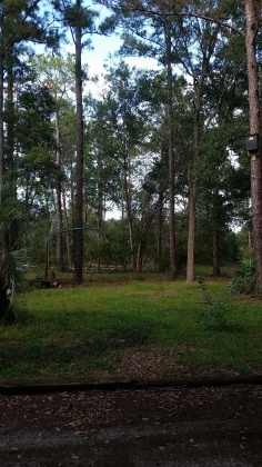 Freeport, Florida 32439, ,Land,For Sale,Frog Hill,856843