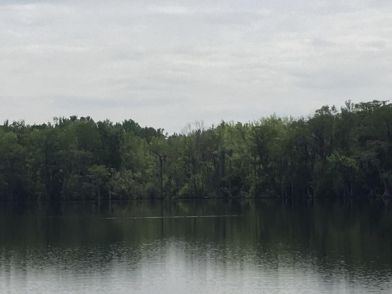 Laurel Hill, Florida 32567, ,Land,For Sale,LAKE ROAD,856885