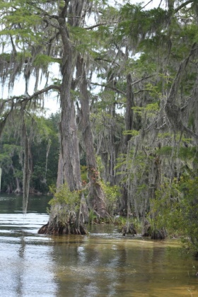 Laurel Hill, Florida 32567, ,Land,For Sale,LAKE ROAD,856885