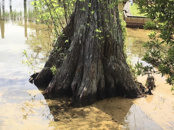 Laurel Hill, Florida 32567, ,Land,For Sale,LAKE ROAD,856885