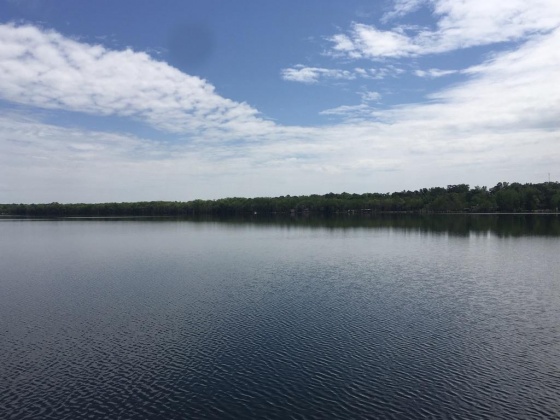 Laurel Hill, Florida 32567, ,Land,For Sale,LAKE ROAD,856885