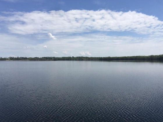 Laurel Hill, Florida 32567, ,Land,For Sale,LAKE ROAD,856885