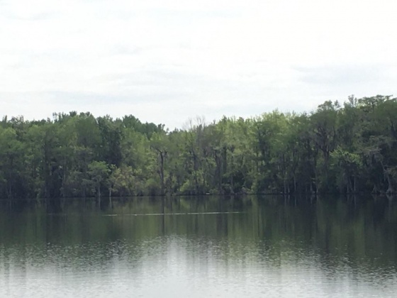 Laurel Hill, Florida 32567, ,Land,For Sale,LAKE ROAD,856885