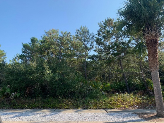 Panama City Beach, Florida 32413, ,Land,For Sale,Lakefront,857230