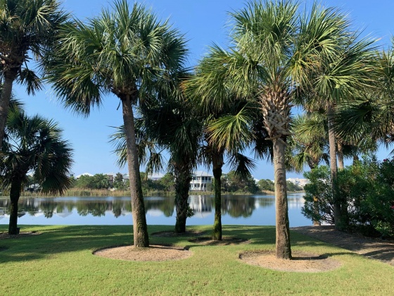 Panama City Beach, Florida 32413, ,Land,For Sale,Lakefront,857230
