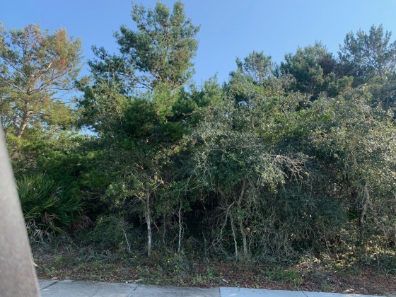 Panama City Beach, Florida 32413, ,Land,For Sale,Lakefront,857231