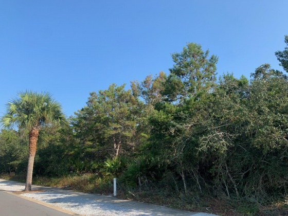 Panama City Beach, Florida 32413, ,Land,For Sale,Lakefront,857231