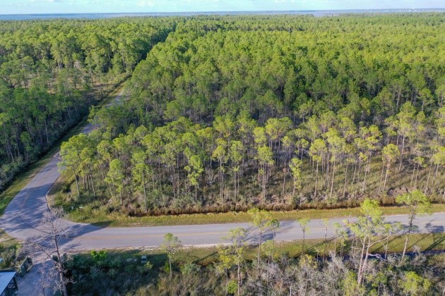 Santa Rosa Beach, Florida 32459, ,Land,For Sale,Nursery,857740