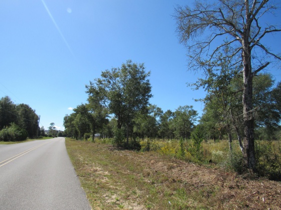 Defuniak Springs, Florida 32433, ,Commercial for Sale,For Sale,Dr Roberts,857841