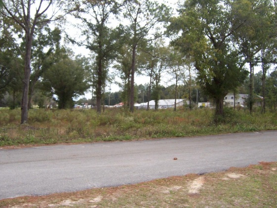 Defuniak Springs, Florida 32433, ,Commercial for Sale,For Sale,U.S. 90,834770