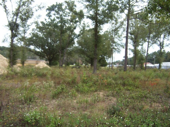 Defuniak Springs, Florida 32433, ,Commercial for Sale,For Sale,U.S. 90,834770