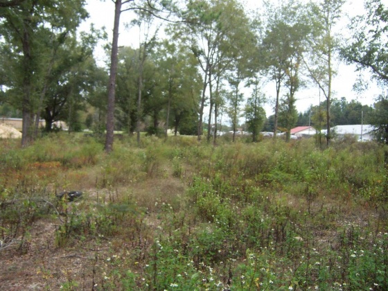 Defuniak Springs, Florida 32433, ,Commercial for Sale,For Sale,U.S. 90,834770