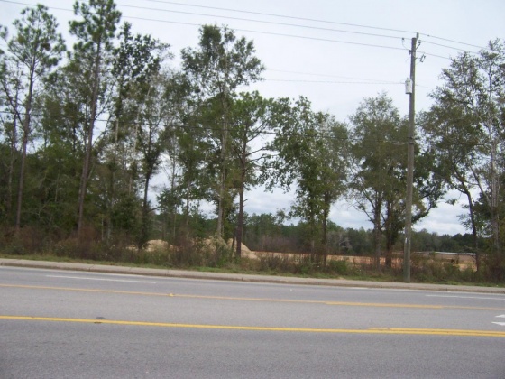 Defuniak Springs, Florida 32433, ,Commercial for Sale,For Sale,U.S. 90,834770