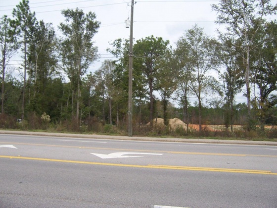 Defuniak Springs, Florida 32433, ,Commercial for Sale,For Sale,U.S. 90,834770