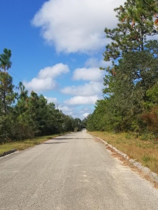 Milton, Florida 32570, ,Land,For Sale,Trammel,857969