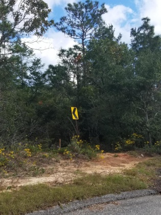 Milton, Florida 32570, ,Land,For Sale,Trammel,857969