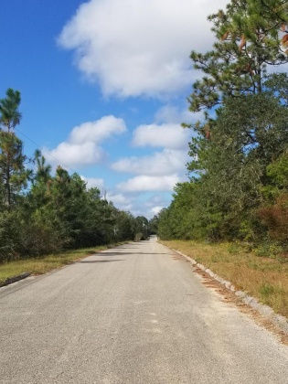 Milton, Florida 32570, ,Land,For Sale,Trammel,857971