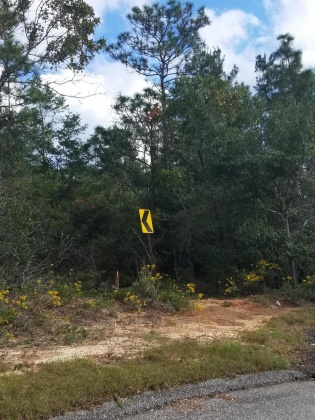 Milton, Florida 32570, ,Land,For Sale,Trammel,857971