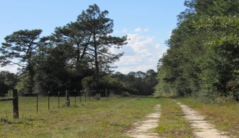 Defuniak Springs, Florida 32433, ,Land,For Sale,Old Airport,858069