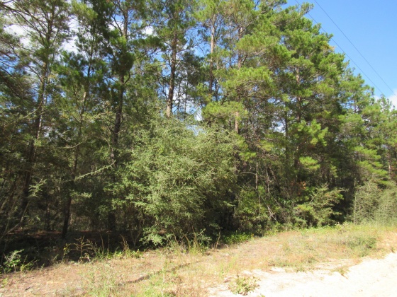 Defuniak Springs, Florida 32433, ,Land,For Sale,Old Airport,858069