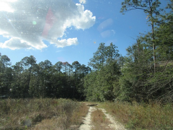 Defuniak Springs, Florida 32433, ,Land,For Sale,Old Airport,858069
