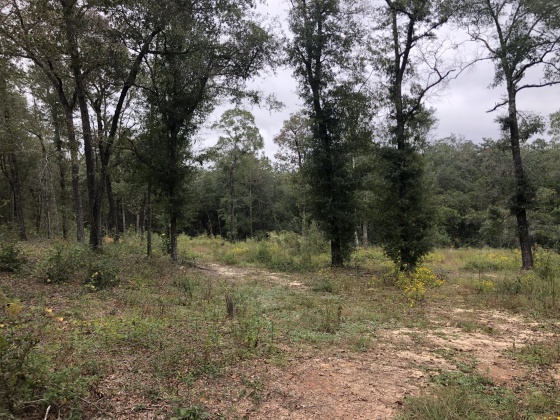 Defuniak Springs, Florida 32433, ,Land,For Sale,Hurricane,858121